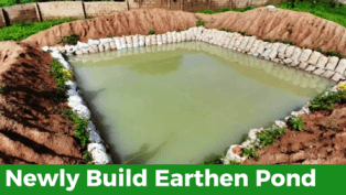 https://marywilfarms.com.ng/Activities involve in earthen pond construction 1