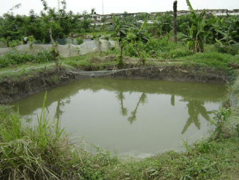 earthen-pond-2