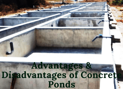 https://marywilfarms.com.ng/Advantages and Disadvantages of Concrete Pond