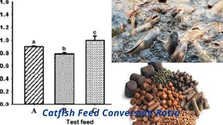https://marywilfarms.com.ng/Catfish Feed Conversion Ratio